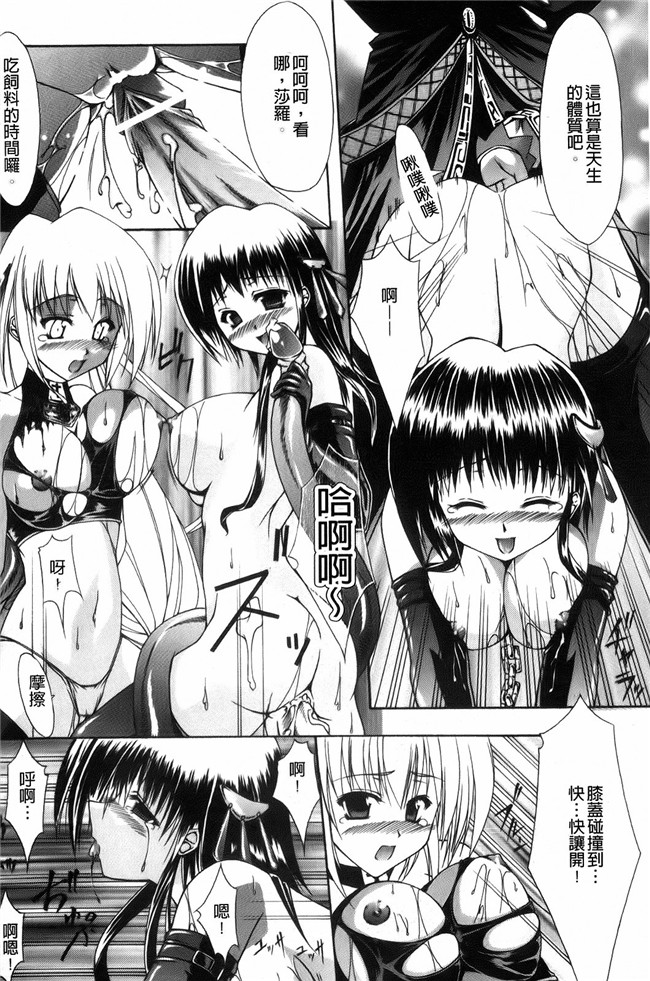 本子库日本h少女漫画本子：[七輝静樹] 神圣的羽毛