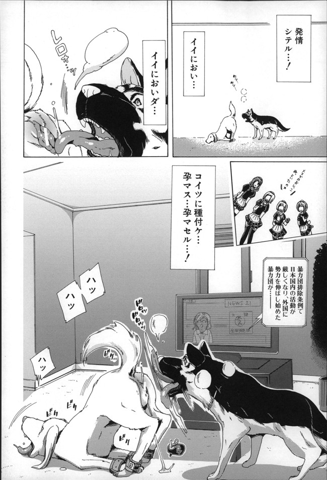 邪恶少女h漫画大全かすみ:[チキコ] 獣姦肉便器h本子