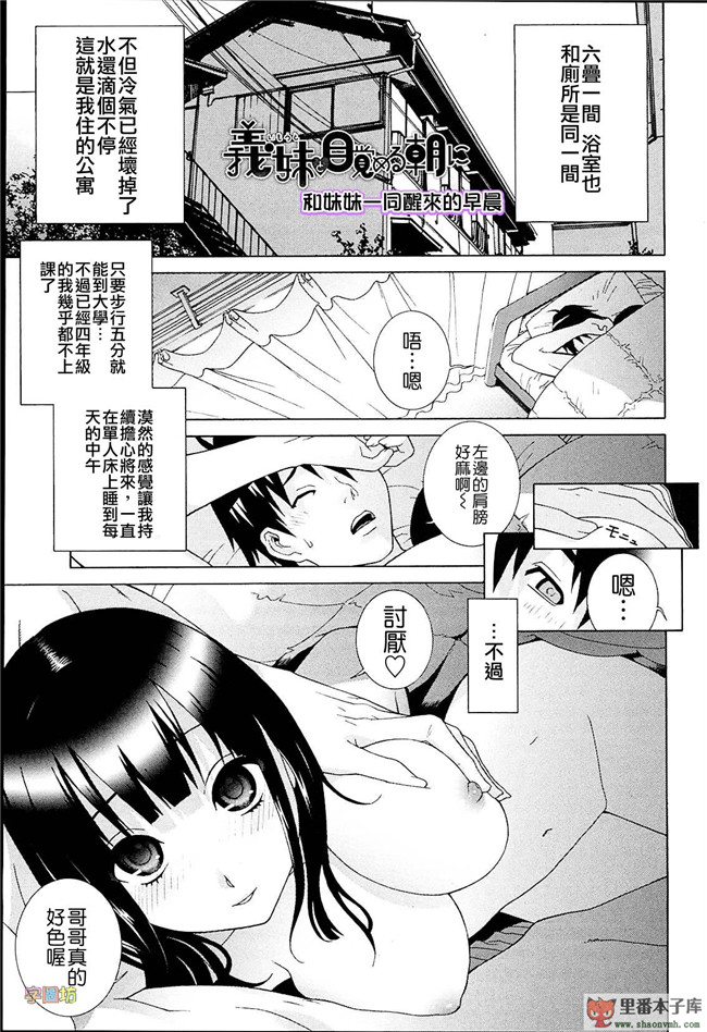 肉番本子库h工口漫画:[志乃武丹英]h本子義妹熱愛領域 