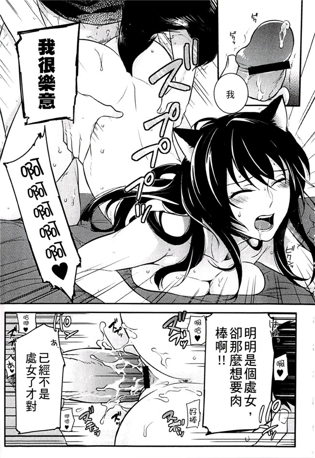 肉番之不打码h漫画[紅威ヨル] きつぬこさぁびす本子