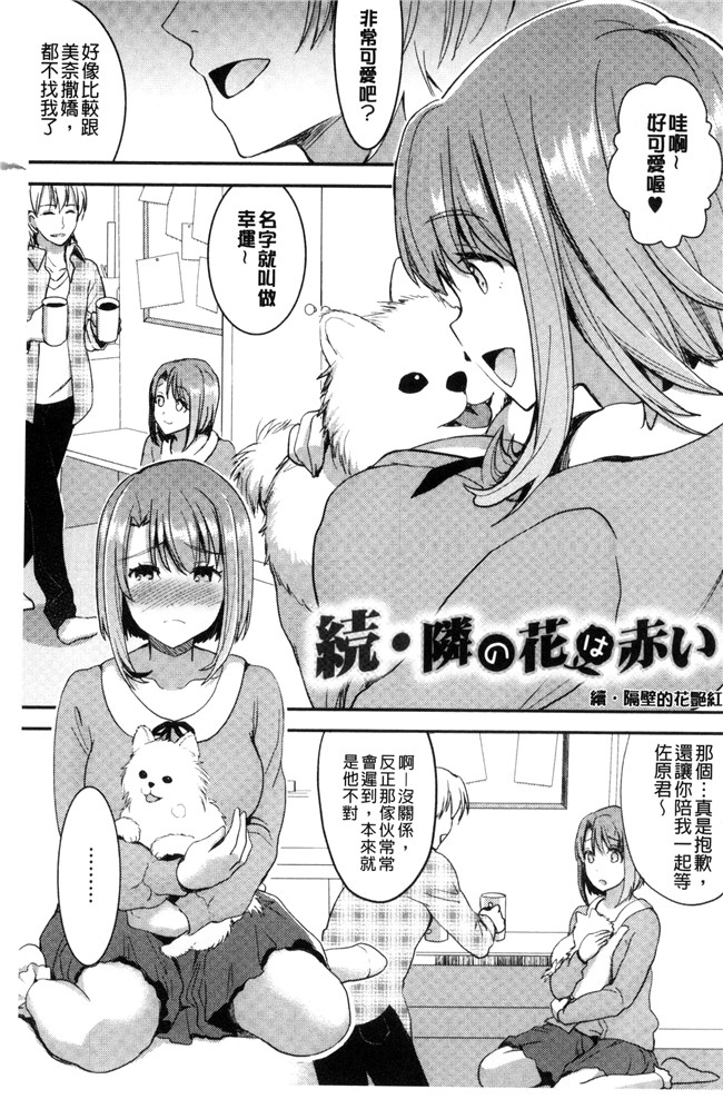 邪恶少女漫画大全之合集本子[おたべさくら] 愛蜜遊戯