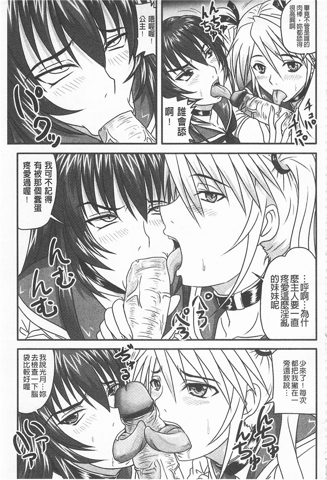 野晒惺口工漫画之ドSな姫は汚される-因果ノ章-