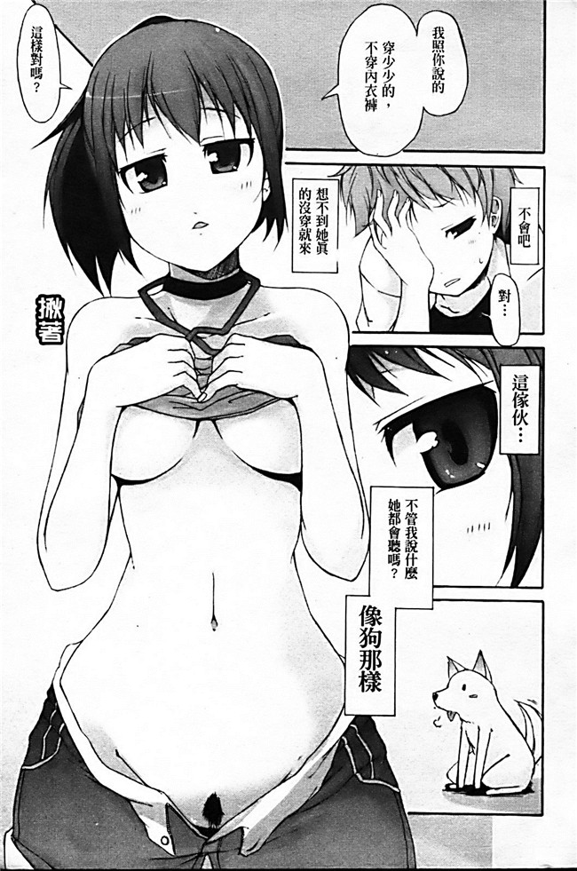 本子库绅士漫画之[シャチカマボコ] 月と太陽