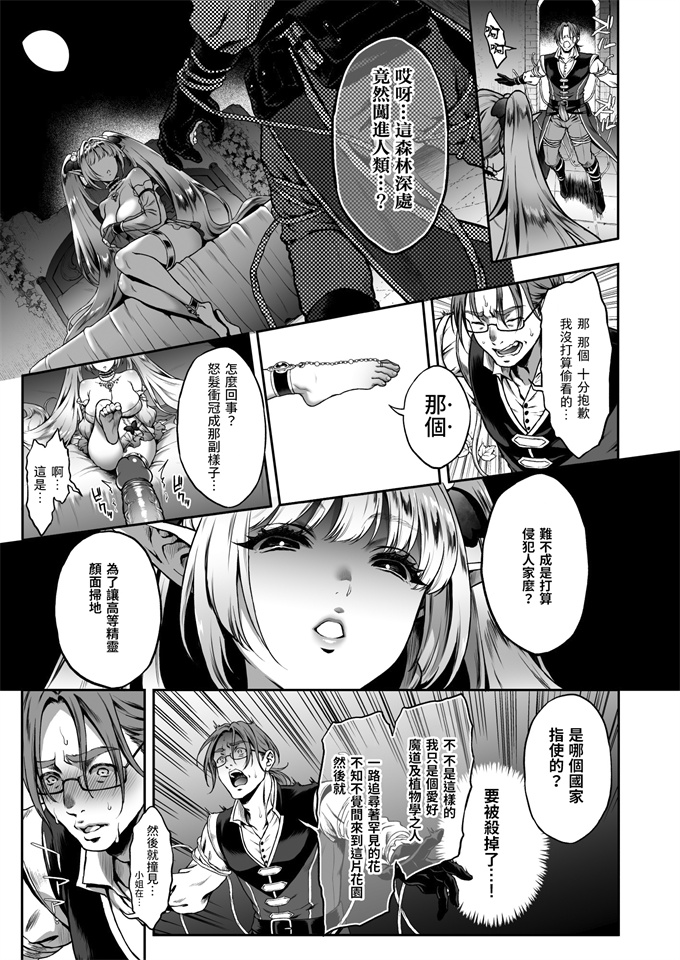 本子库之[H.B.A (うさぎなごむ)] 悠久の娼エルフ3