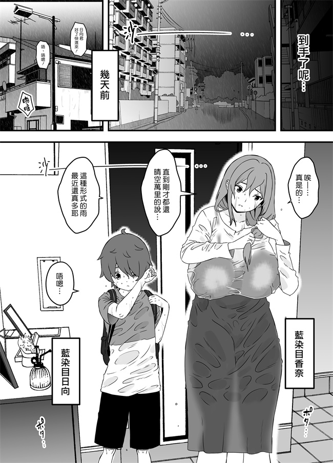 日本邪恶肉番库之[せなか] 義装母子 1