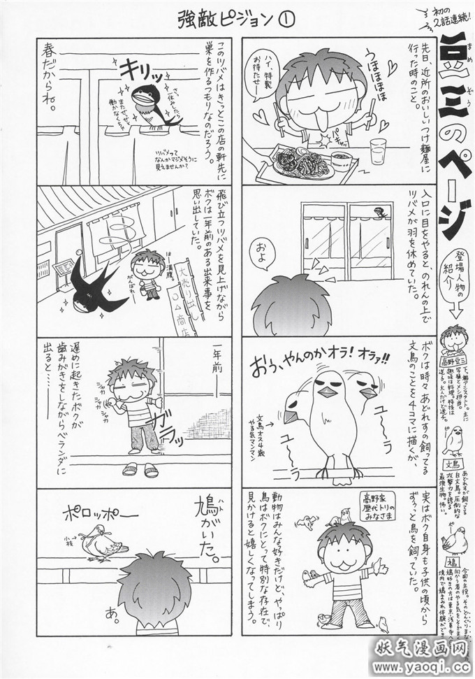 少女漫画(C68)[GOLD RUSH (鈴木あどれす)](機動戦士ガンダムSEED DESTINY)